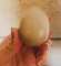 thumb-4