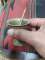 thumb-3