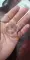 thumb-4