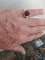 thumb-3