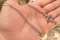 thumb-0