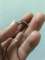thumb-0