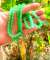 thumb-1