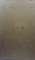 thumb-4