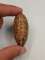 thumb-2