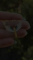 thumb-6