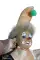 thumb-5