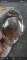 thumb-3