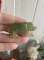 thumb-1
