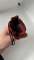 thumb-5