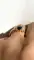 thumb-3