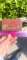 thumb-6