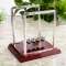 thumb-5
