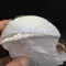 thumb-6