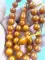 thumb-1