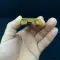 thumb-4