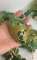 thumb-5