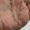 thumb-2