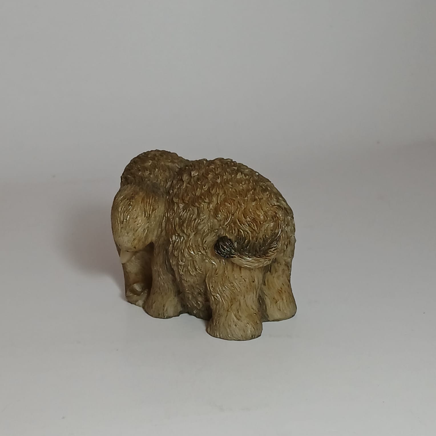 image-7