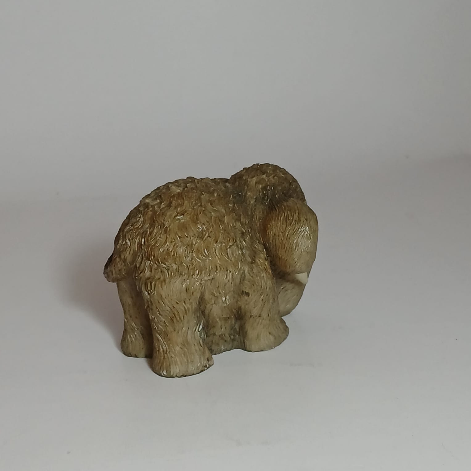 image-6