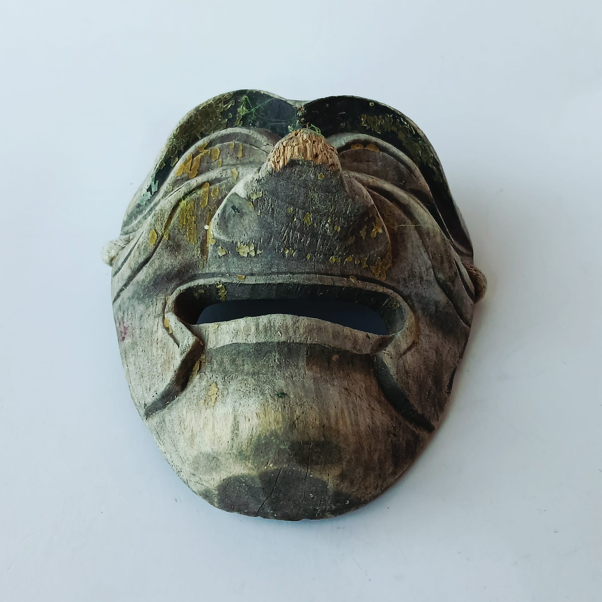 image-6