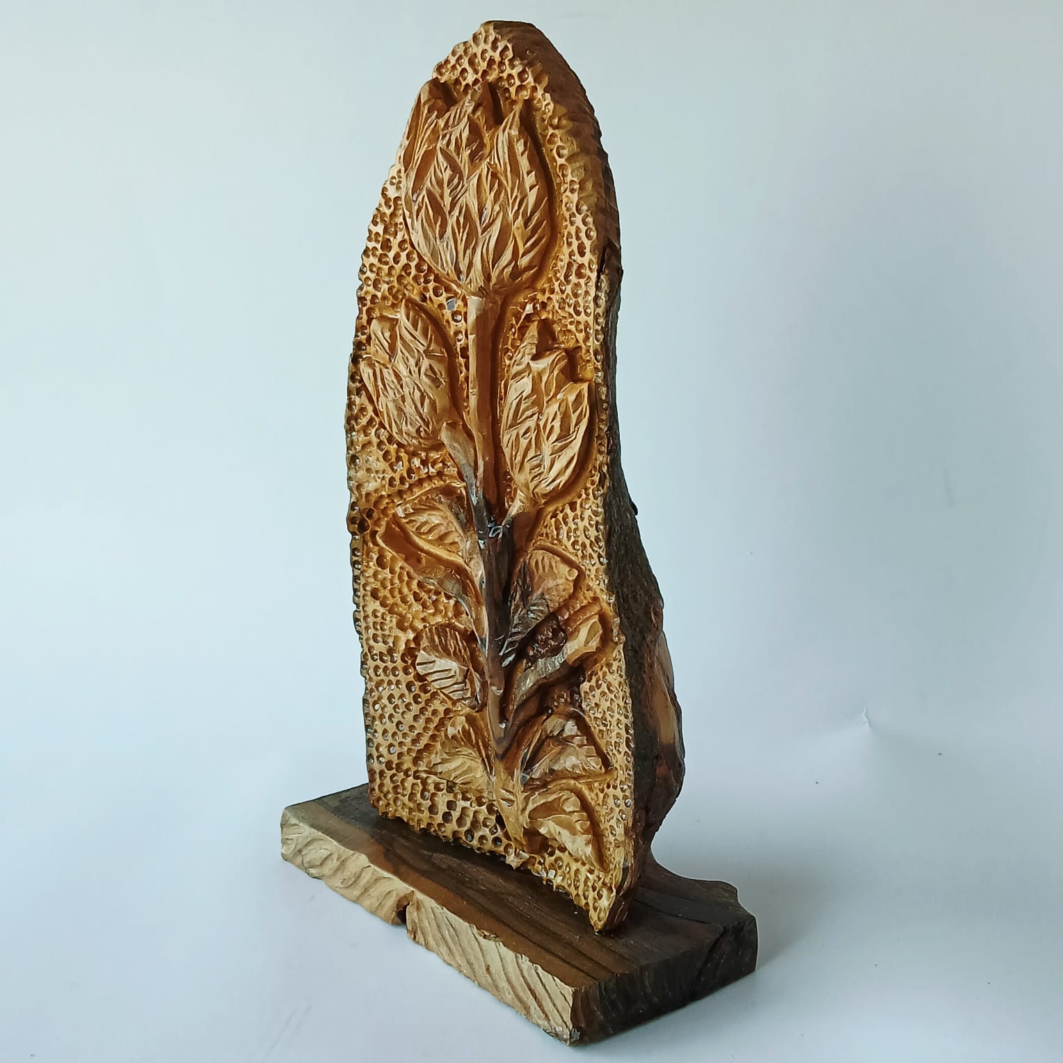 image-7
