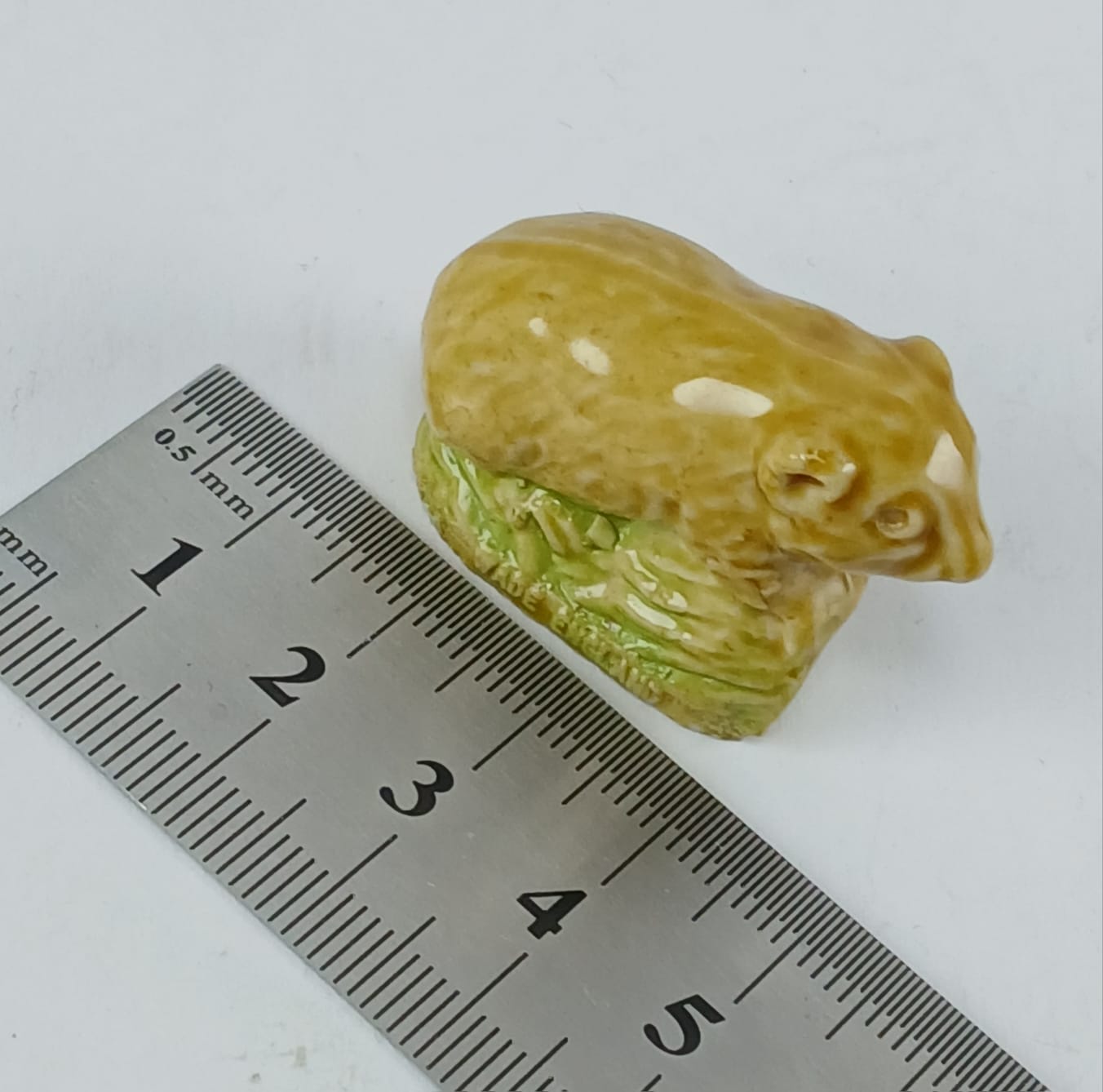 image-7