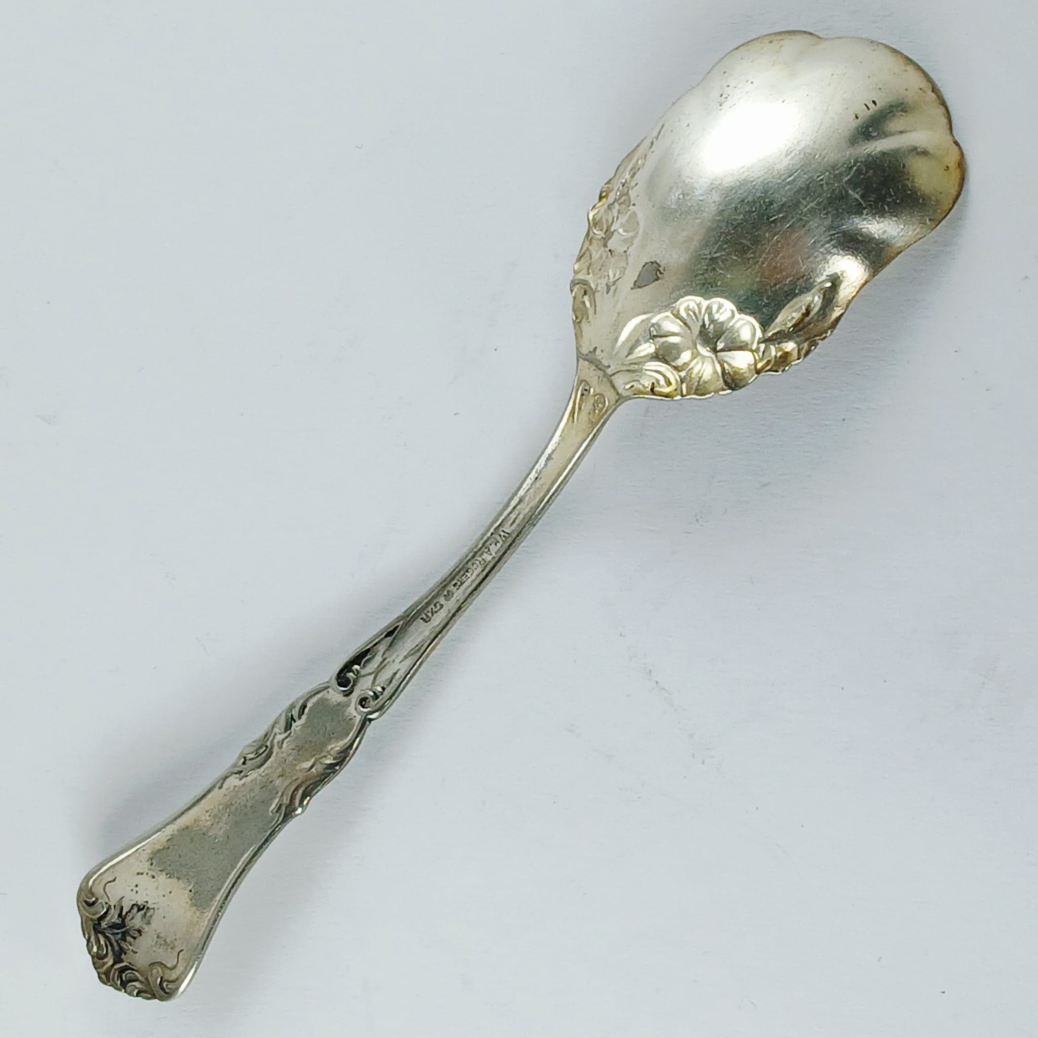 image-2