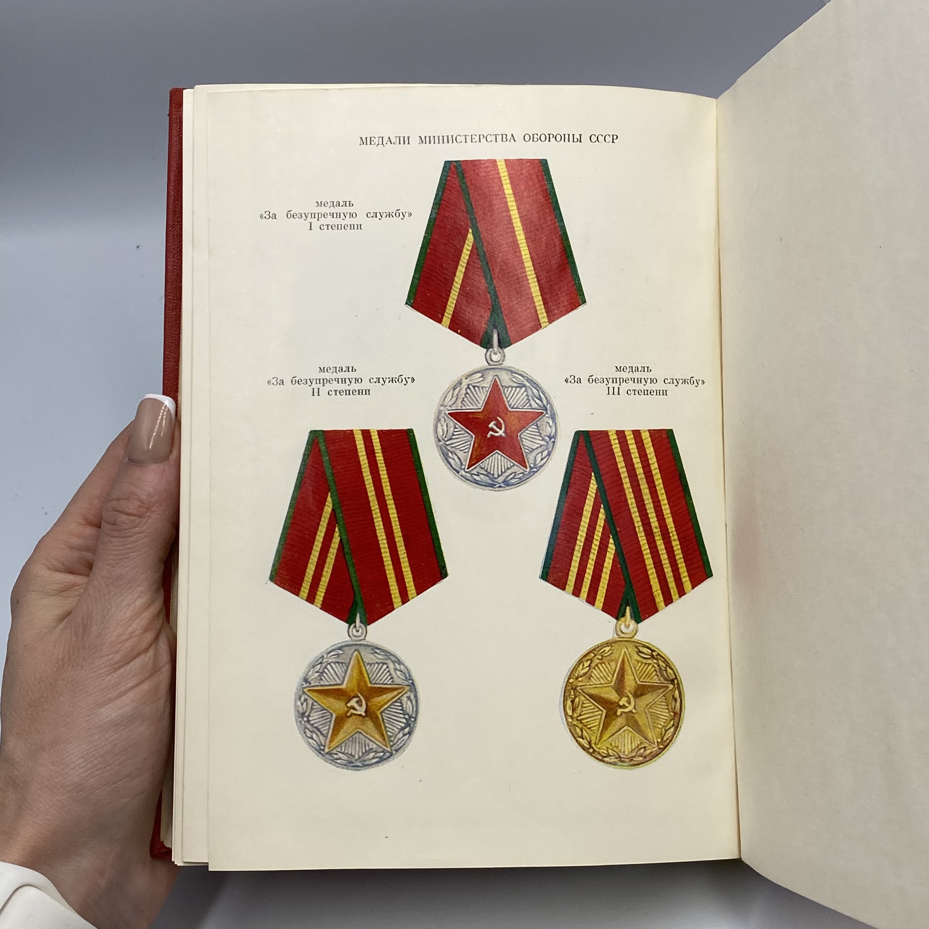 image-7
