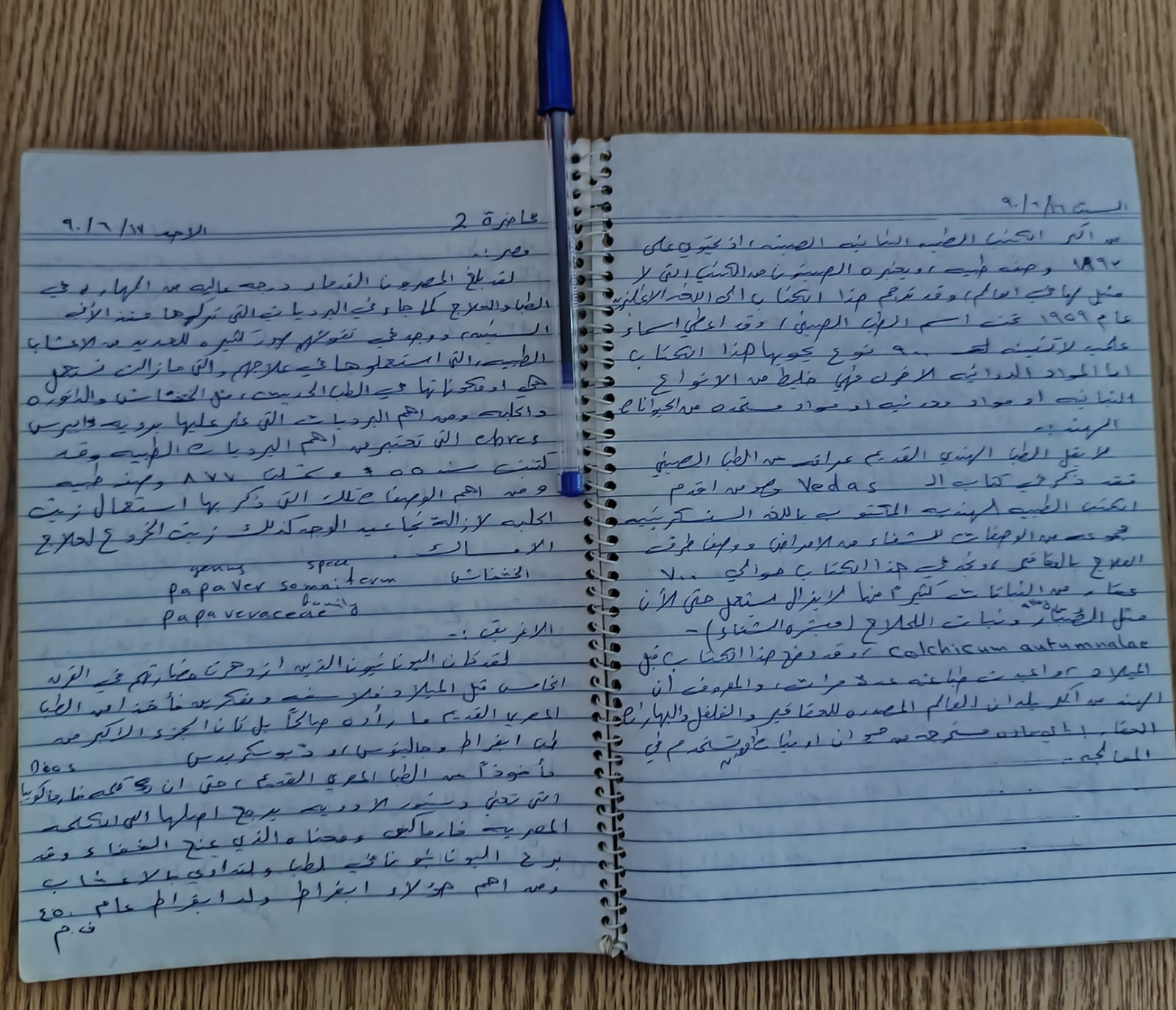 image-7