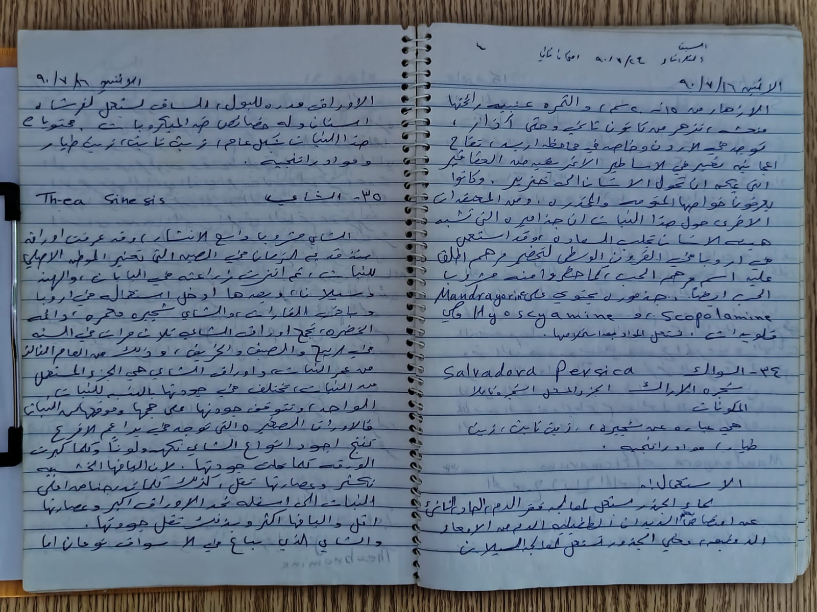 image-6