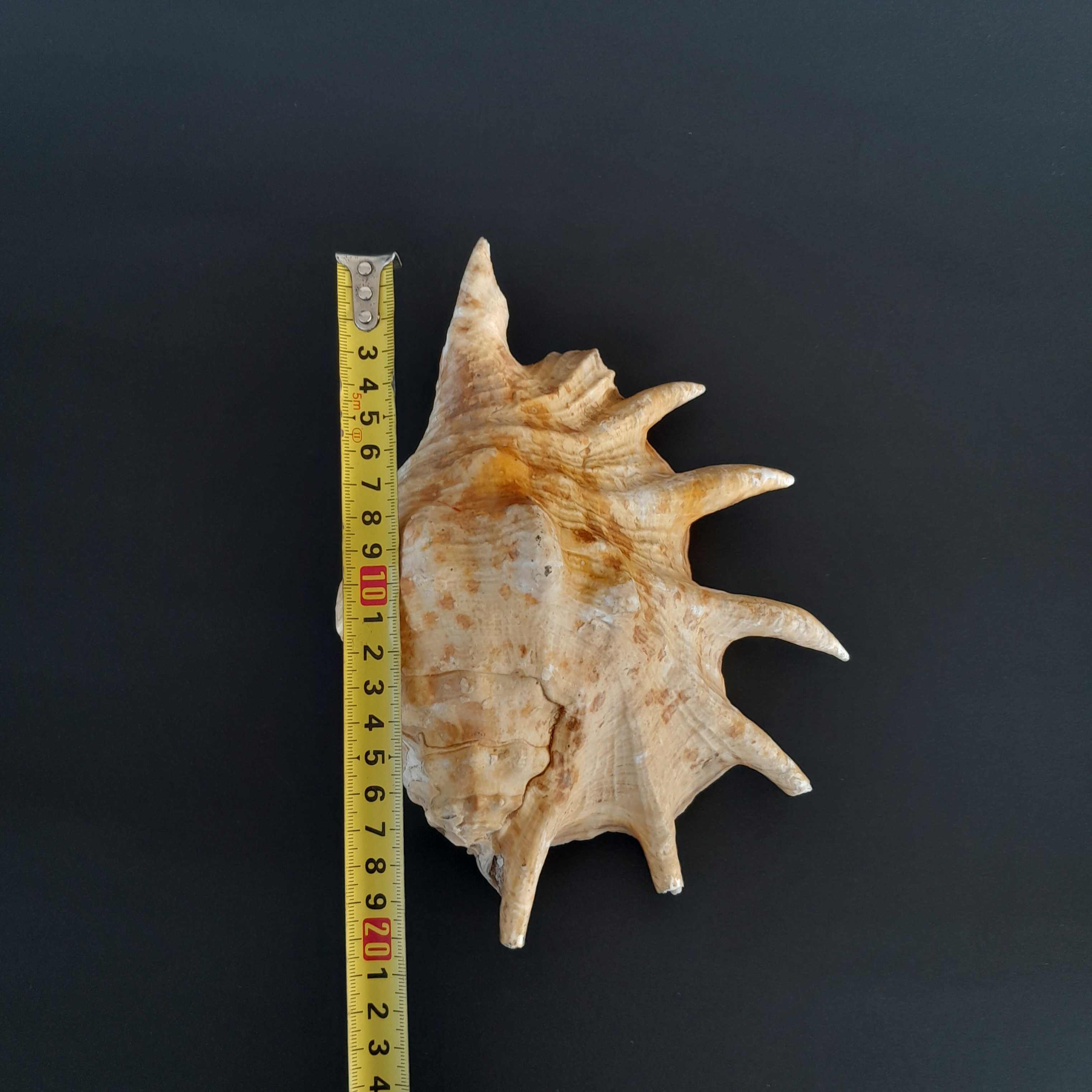 image-6