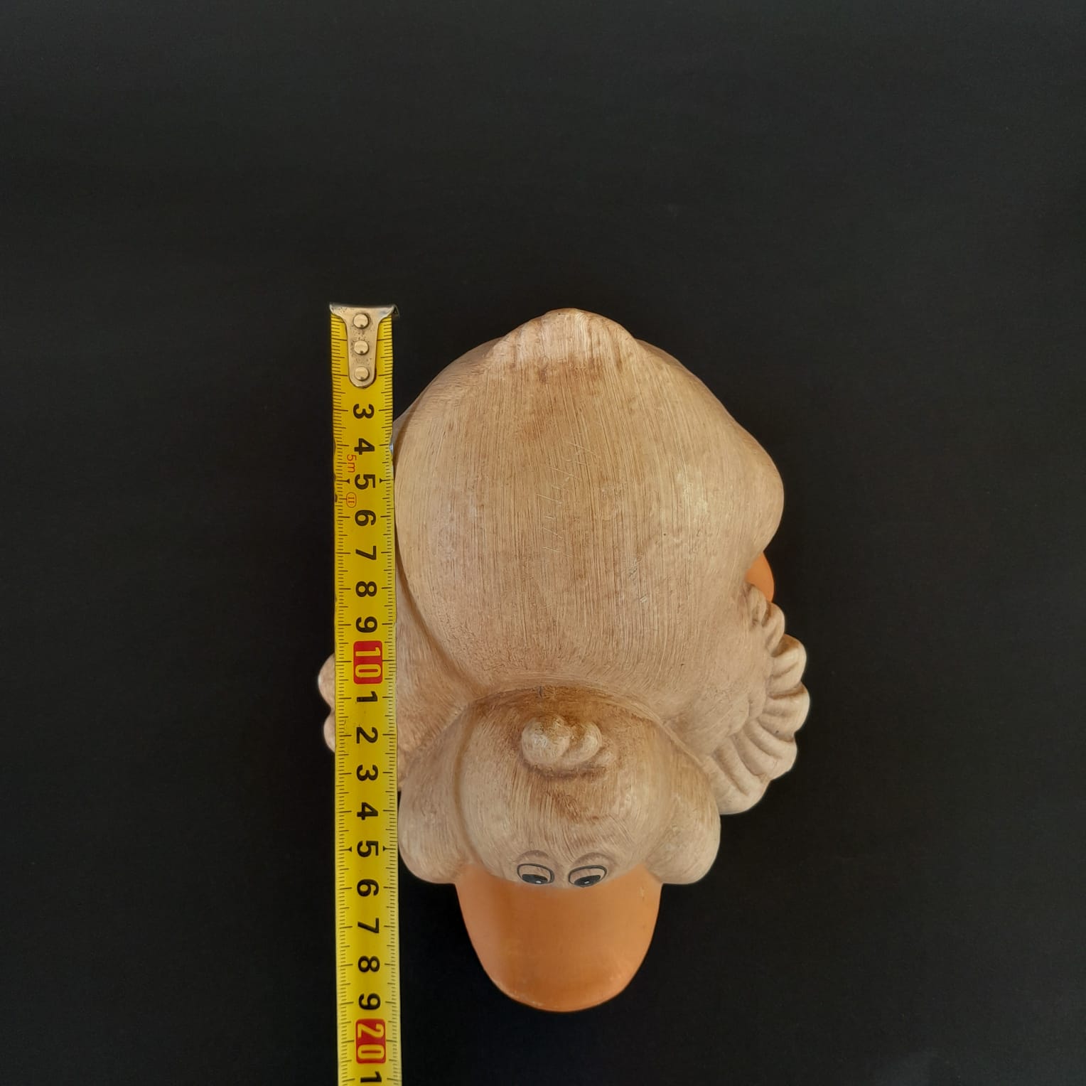 image-7