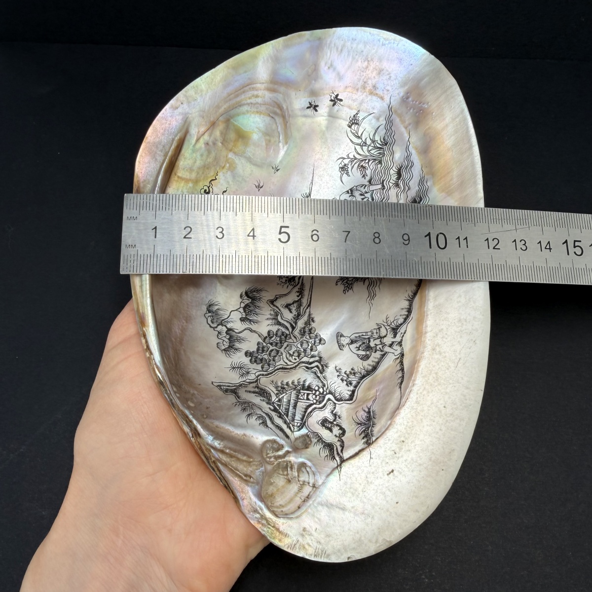 image-8
