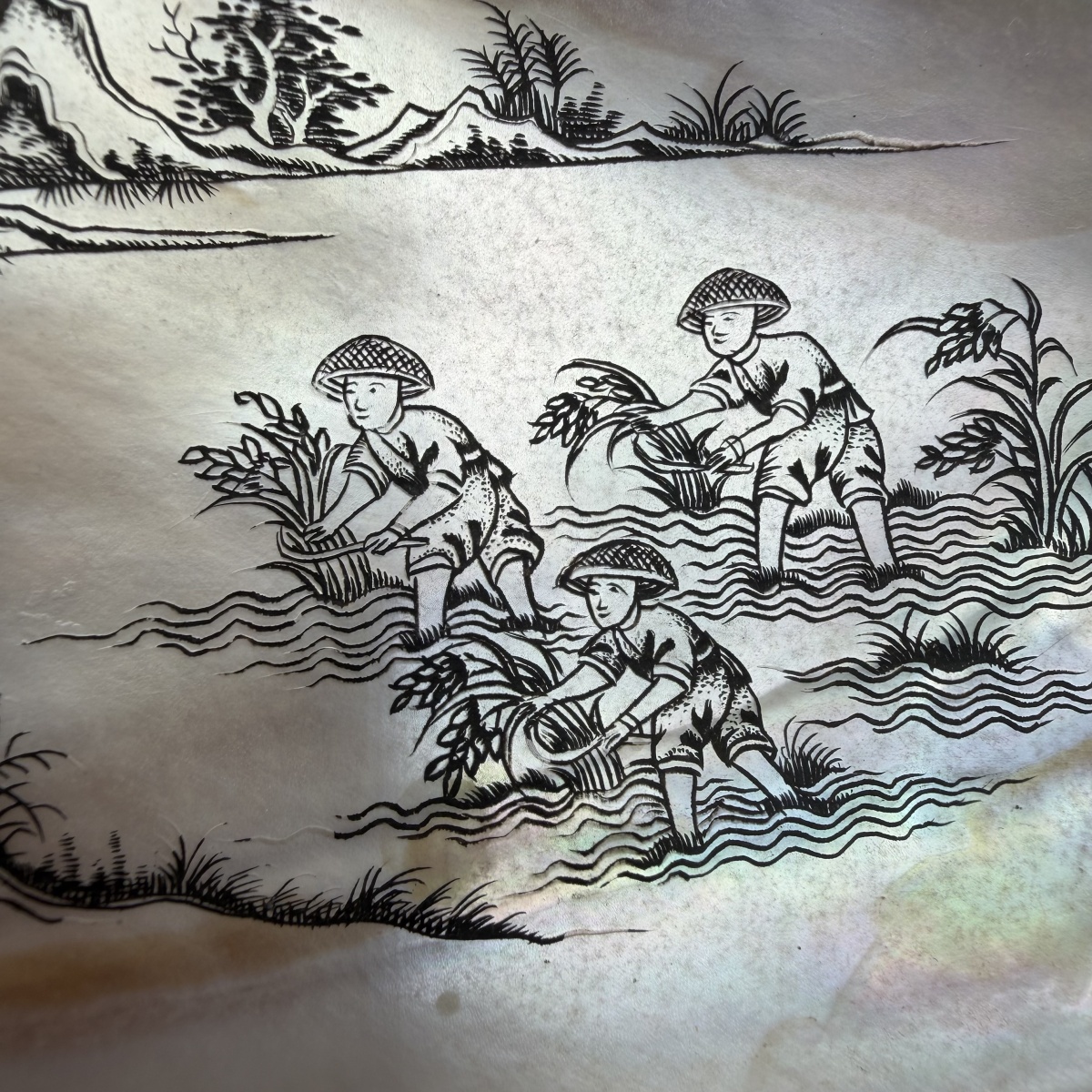image-4