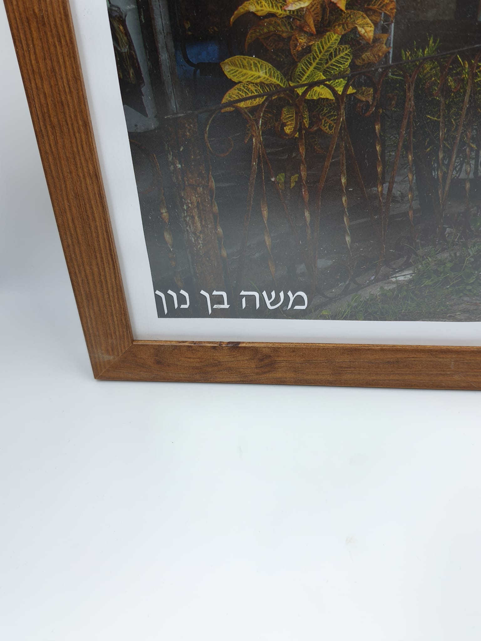 image-5
