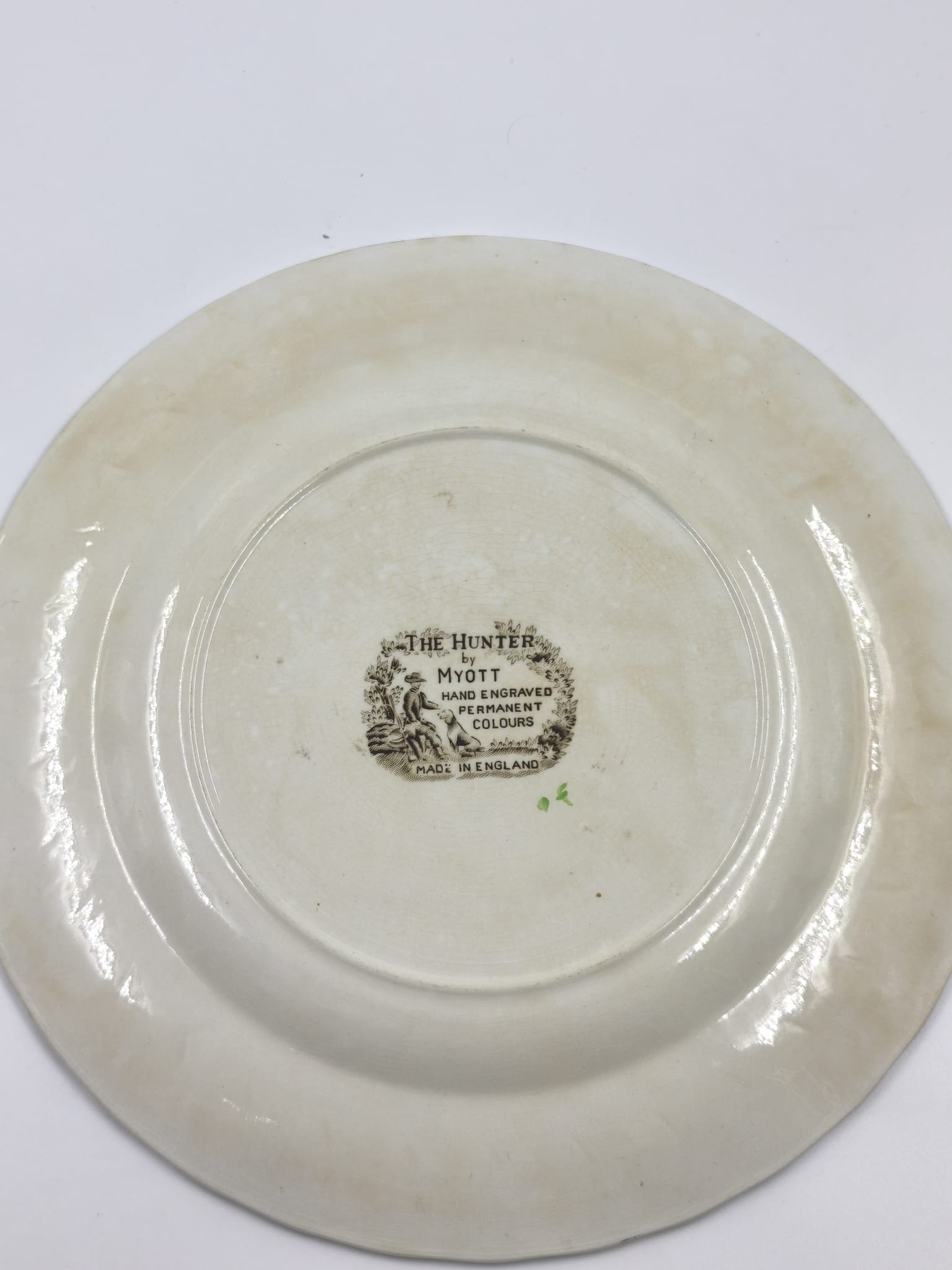 image-7