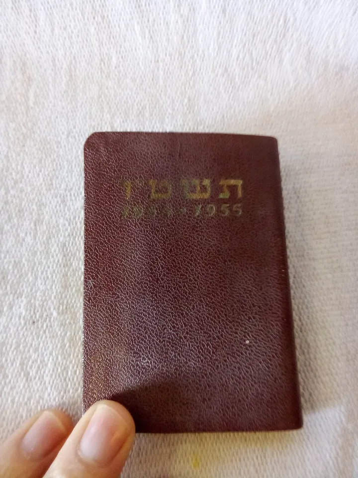 image-7
