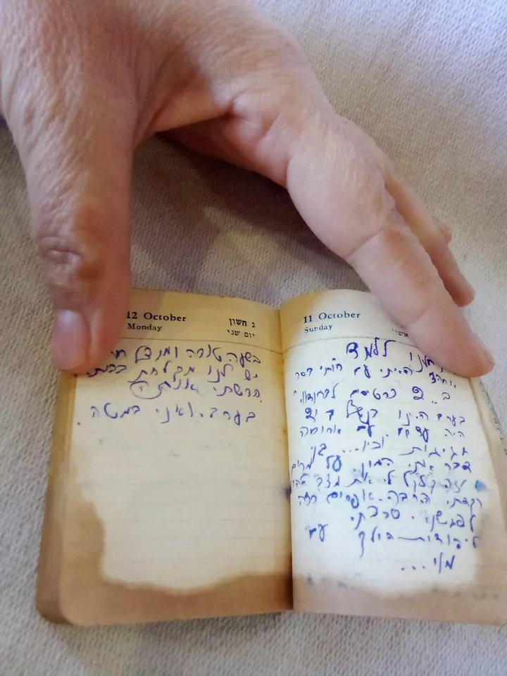 image-6