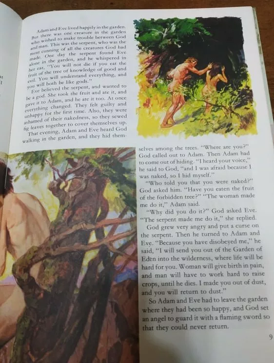 image-5