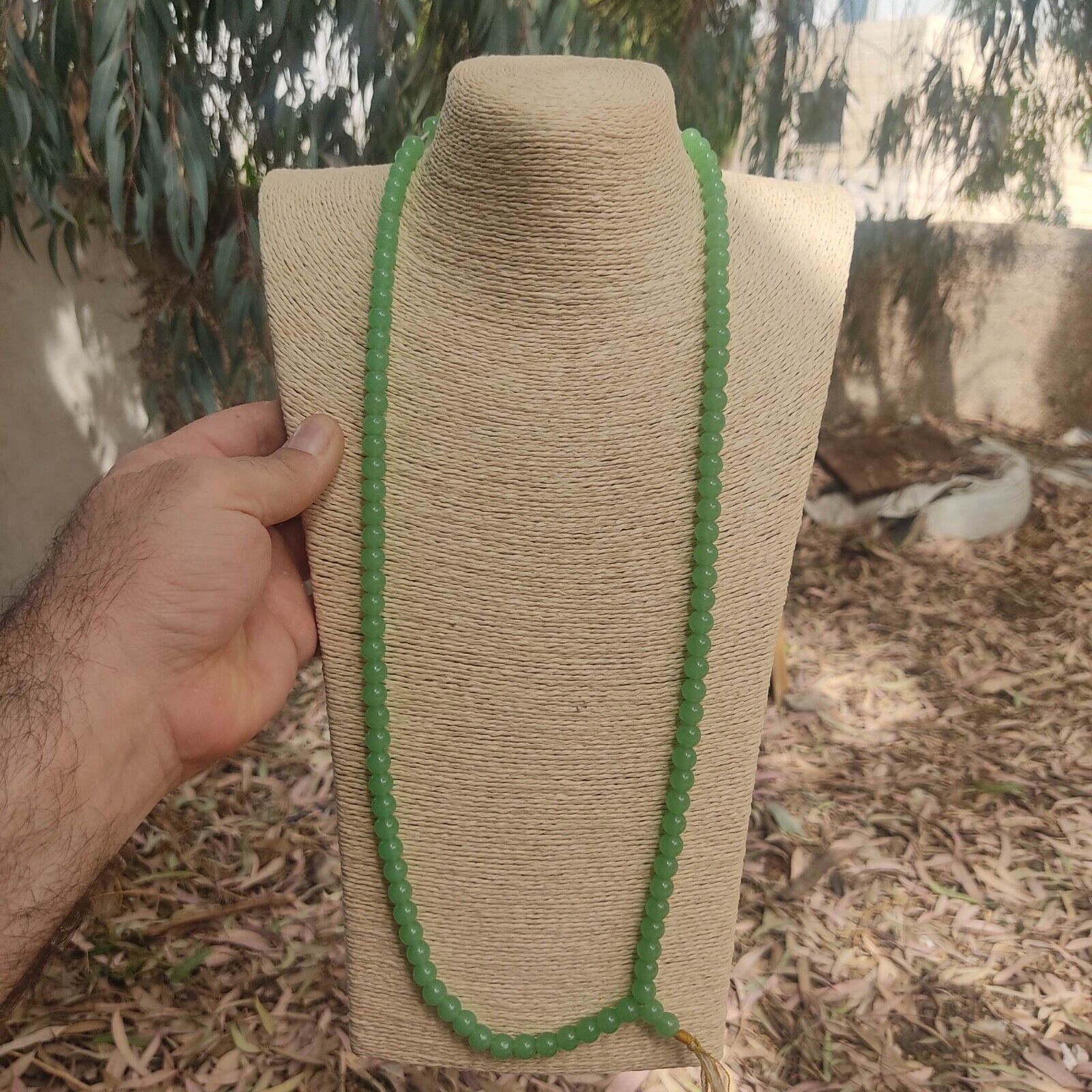 image-6