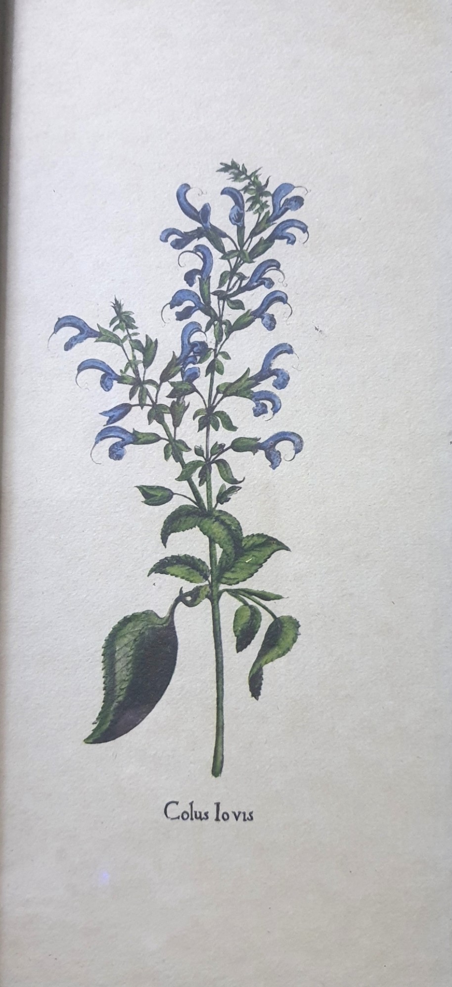 image-6