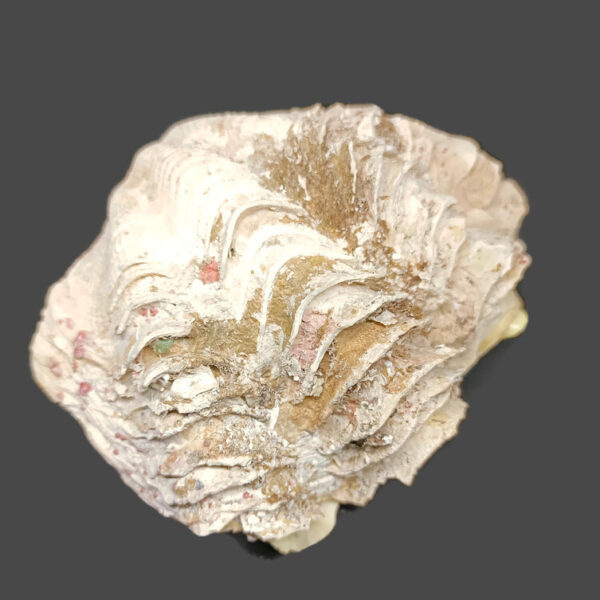 image-4