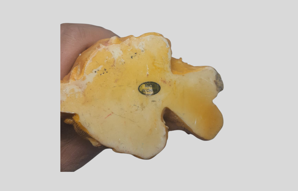 image-3