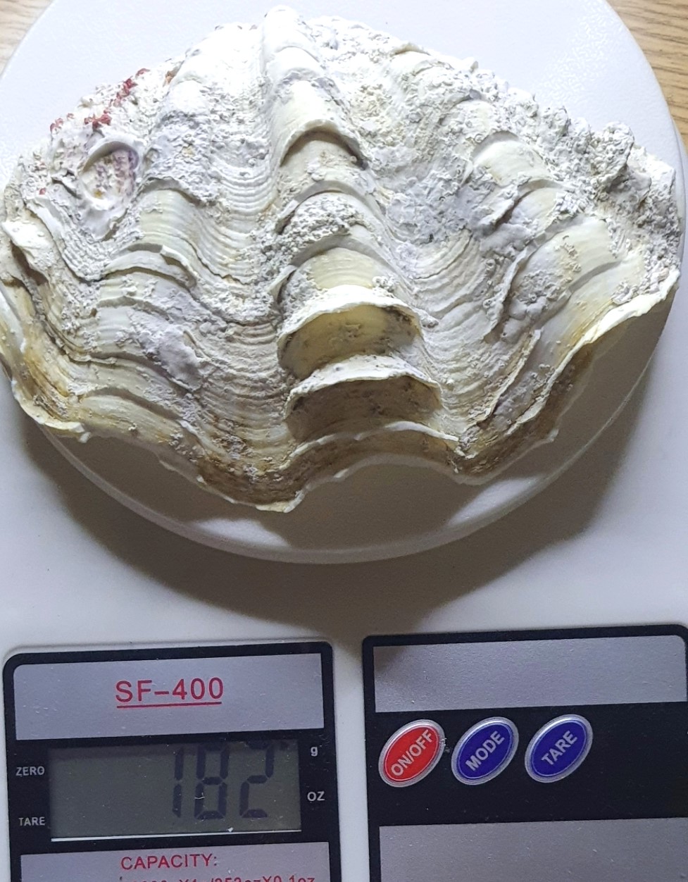 image-2