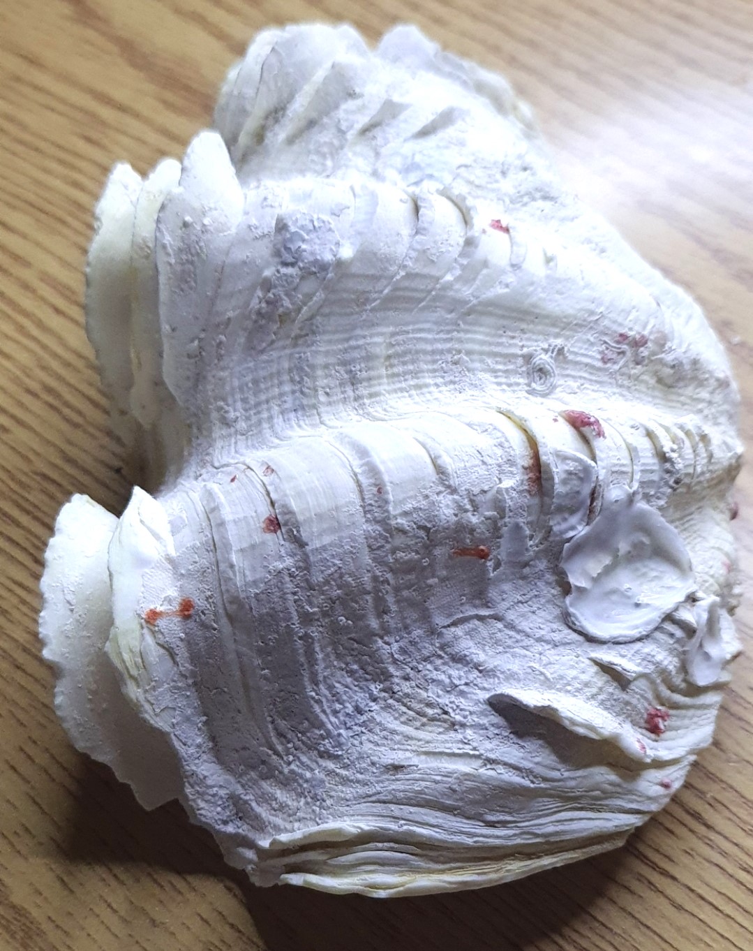 image-3
