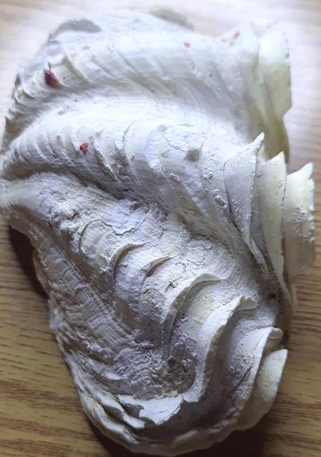 image-5
