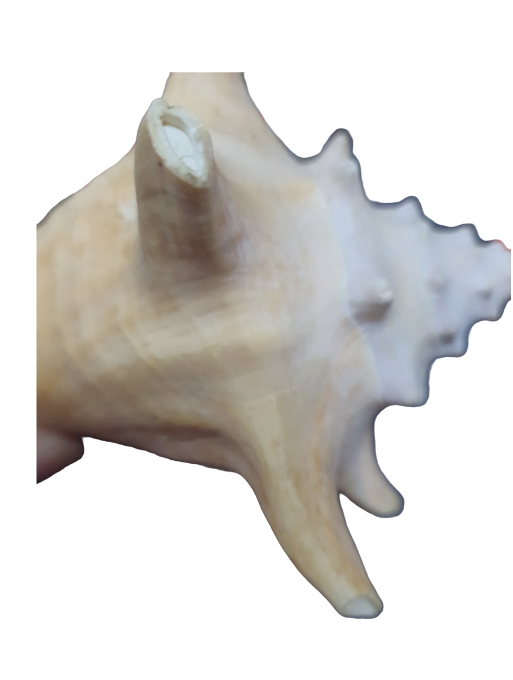 image-5