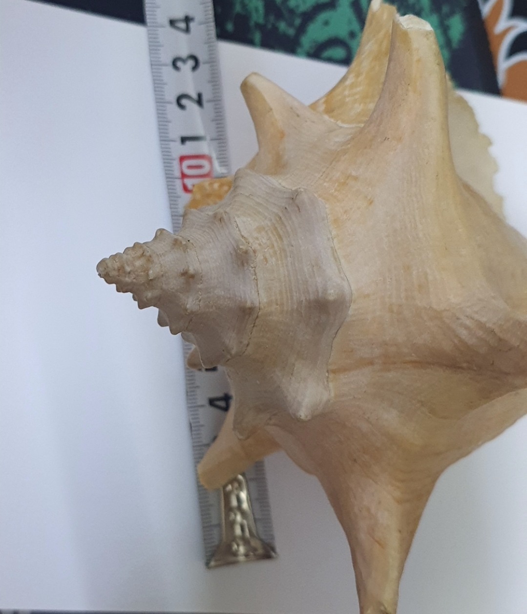 image-6