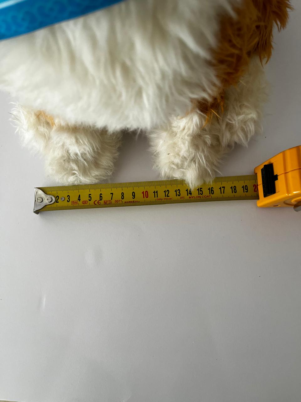 image-6